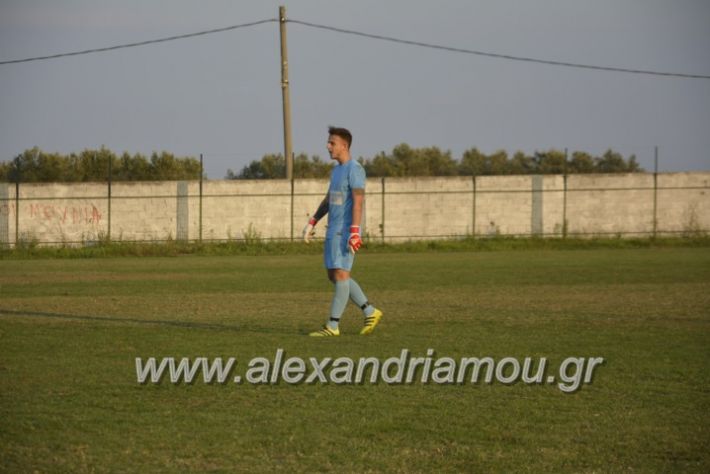 alexandriamou.gr_trikalapaok10 (87)